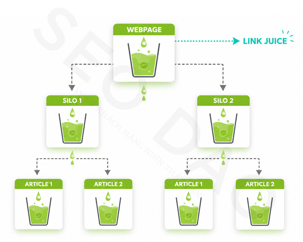 Học SEO 07: Hướng Dẫn Tạo Cấu Trúc Website Chuẩn Silo SEO